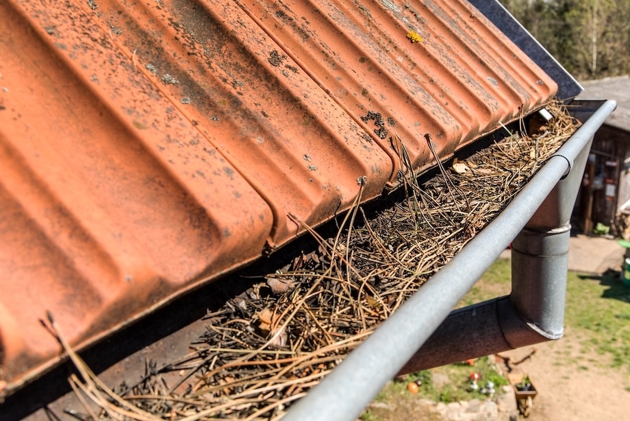 gutters full of debris needing to be cleaned. roof gutter clogged with pine needles and debris. work on the house.