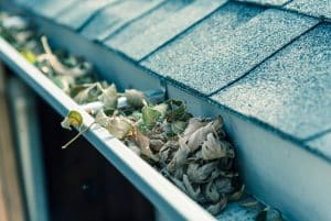 blocked gutter full of autumn dried leaves and debris clogging in texas, america
