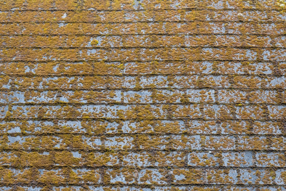 shingle roof with molds and algaes on the surface.