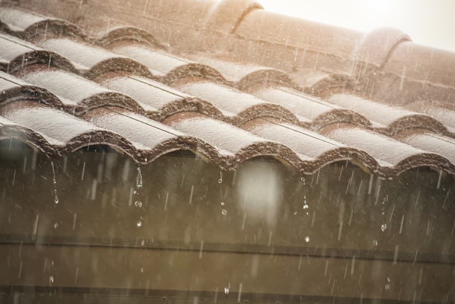 roofs absorb water